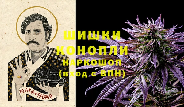 стаф Покачи