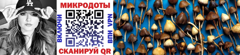 Галлюциногенные грибы мицелий  Белозерск 
